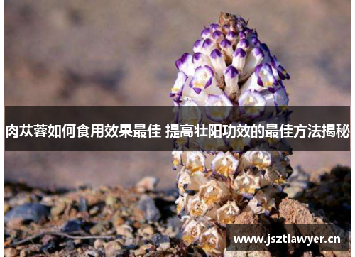 肉苁蓉如何食用效果最佳 提高壮阳功效的最佳方法揭秘