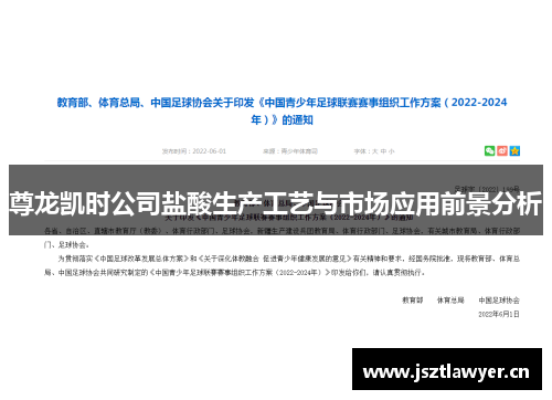 尊龙凯时公司盐酸生产工艺与市场应用前景分析 尊龙凯时公司盐酸生产工艺与市场应用前景分析
