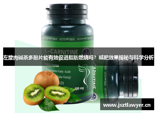 左旋肉碱茶多酚片能有效促进脂肪燃烧吗？减肥效果揭秘与科学分析
